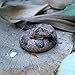 SIENON Realistic Fake Snakes Toy Soft Rubber Snake Figure Garden Scare Birds and Squirrels Rattlesnake Toy Figurines Stress Relief Gag Toys Halloween Decoration Party Favors Prank Props - Image 2