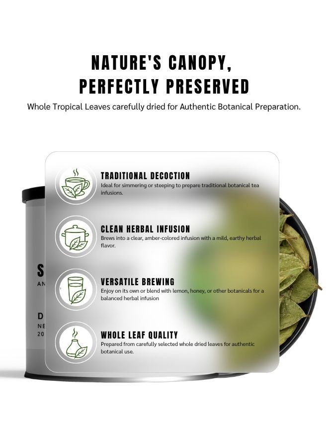 Awafi Mill Dried Soursop Graviola Leaf | Premium Quality and Versatile Use - 20 leaves - Image 2