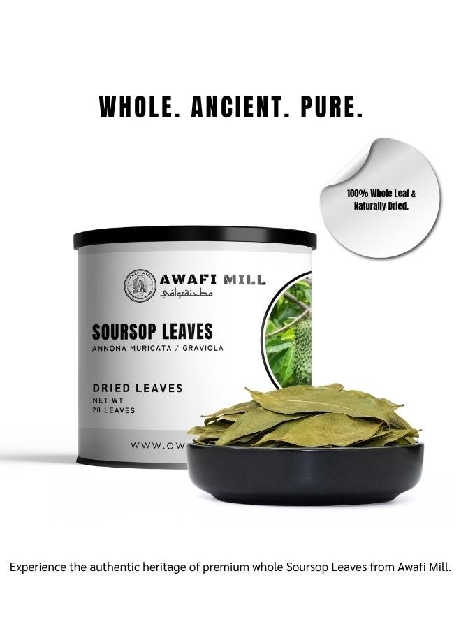 Awafi Mill Dried Soursop Graviola Leaf | Premium Quality and Versatile Use - 20 leaves - Image 4