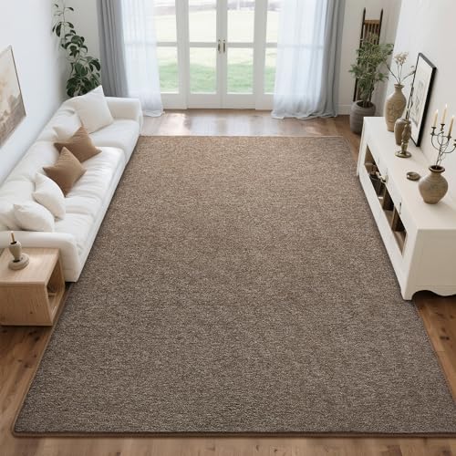 Tepook Soft Area Rug for Living Room Bedroom 5x7 Brown Rug Memory Foam Carpets Washable Modern Indoor NonSlip Minimalist Shag Rugs for Boys Girls Room Dorm Home Decor - Image 3