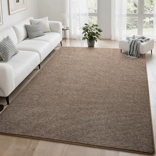 Tepook Soft Area Rug for Living Room Bedroom 5x7 Brown Rug Memory Foam Carpets Washable Modern Indoor NonSlip Minimalist Shag Rugs for Boys Girls Room Dorm Home Decor - Image 1