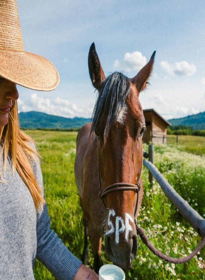 EQUIDERMA Zinc Oxide Paste for Horses, Ointment for Horse Skin Conditions, 16 Oz. - Image 2
