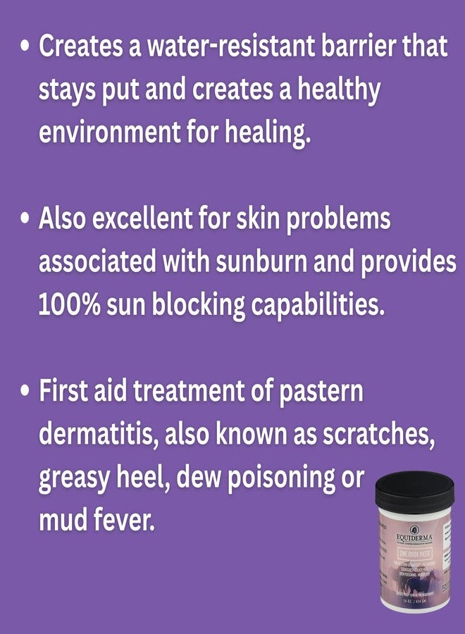 EQUIDERMA Zinc Oxide Paste for Horses, Ointment for Horse Skin Conditions, 16 Oz. - Image 3