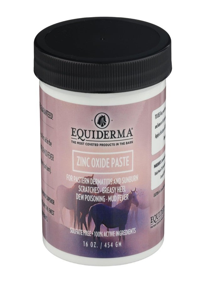 EQUIDERMA Zinc Oxide Paste for Horses, Ointment for Horse Skin Conditions, 16 Oz. - Image 1