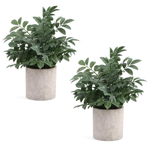 Coferset 2 Pack Small Fake Plants Potted Artificial Herb Plants for Shelf Desk Home Bathroom Farmhouse Room Coffee Table Decor Gray Green