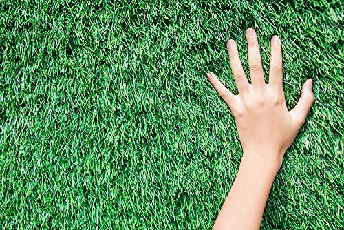 CARPET PLANET Artificial Grass Carpet Mat High Density Fake Grass Carpet mat for Covering Garden, Hotel, Restaurant, Wall, Terrace, Balcony,Home Decor, Lawn, Doormat, Hall_CPG75 - Image 2