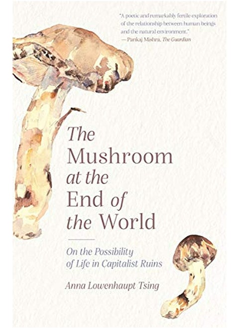 MUSHROOM AT THE END OF THE WORLD