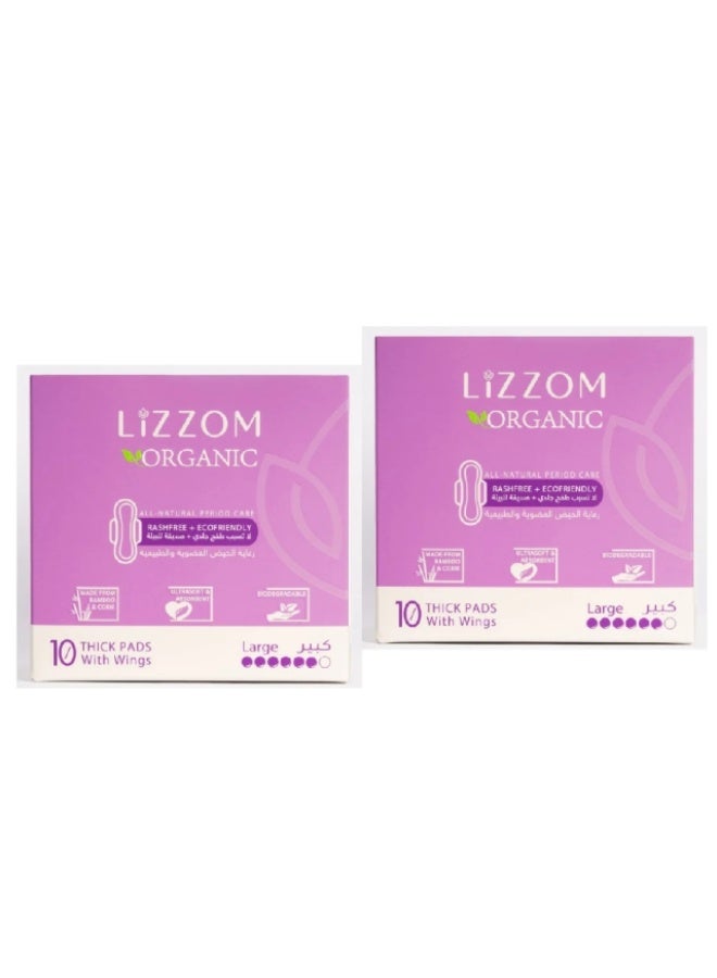 Sanitary Pads, Thick Night, Hypoallergenic(Large) - 2 x 10Pcs, UAE