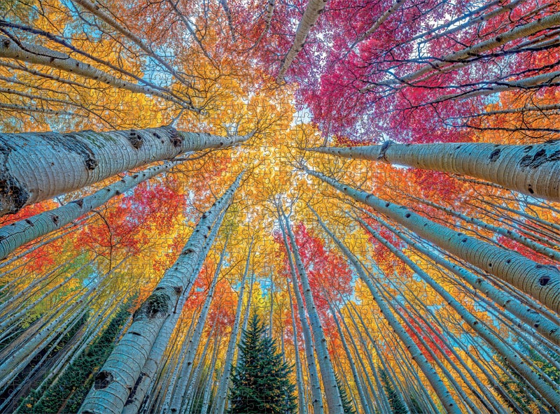 Cross & Glory â€“ Sky Through The Aspens â€“ 1000 Piece Jigsaw Puzzle for Adults | Golden Autumn Forest Puzzle | Vibrant Fall Nature Artwork | Premium Ribbon-Cut Puzzle with Satin Finish - Image 4