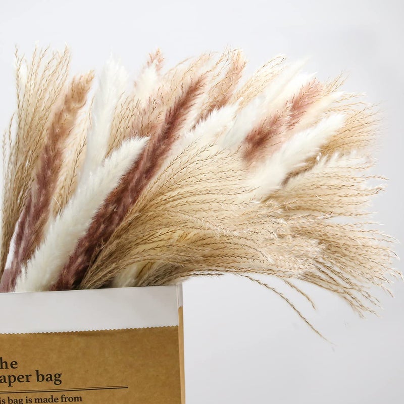 MUDYSSON 1772 Dried White Pampas Grass 15 PcsBrown Dried Flower 15 Pcs30 Pcs Natural Dried Reed Dried Flower for for Wedding Decoration Home Arrangement 60 Pcs - Image 1