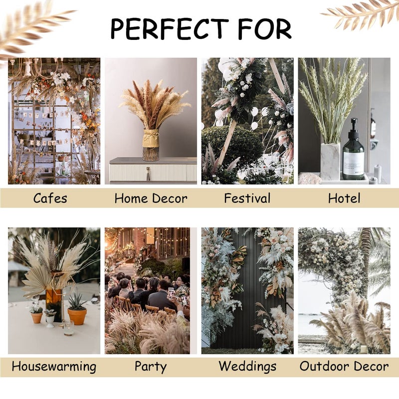 MUDYSSON 1772 Dried White Pampas Grass 15 PcsBrown Dried Flower 15 Pcs30 Pcs Natural Dried Reed Dried Flower for for Wedding Decoration Home Arrangement 60 Pcs - Image 5