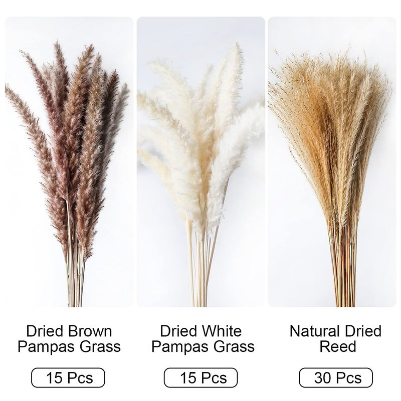MUDYSSON 1772 Dried White Pampas Grass 15 PcsBrown Dried Flower 15 Pcs30 Pcs Natural Dried Reed Dried Flower for for Wedding Decoration Home Arrangement 60 Pcs - Image 2