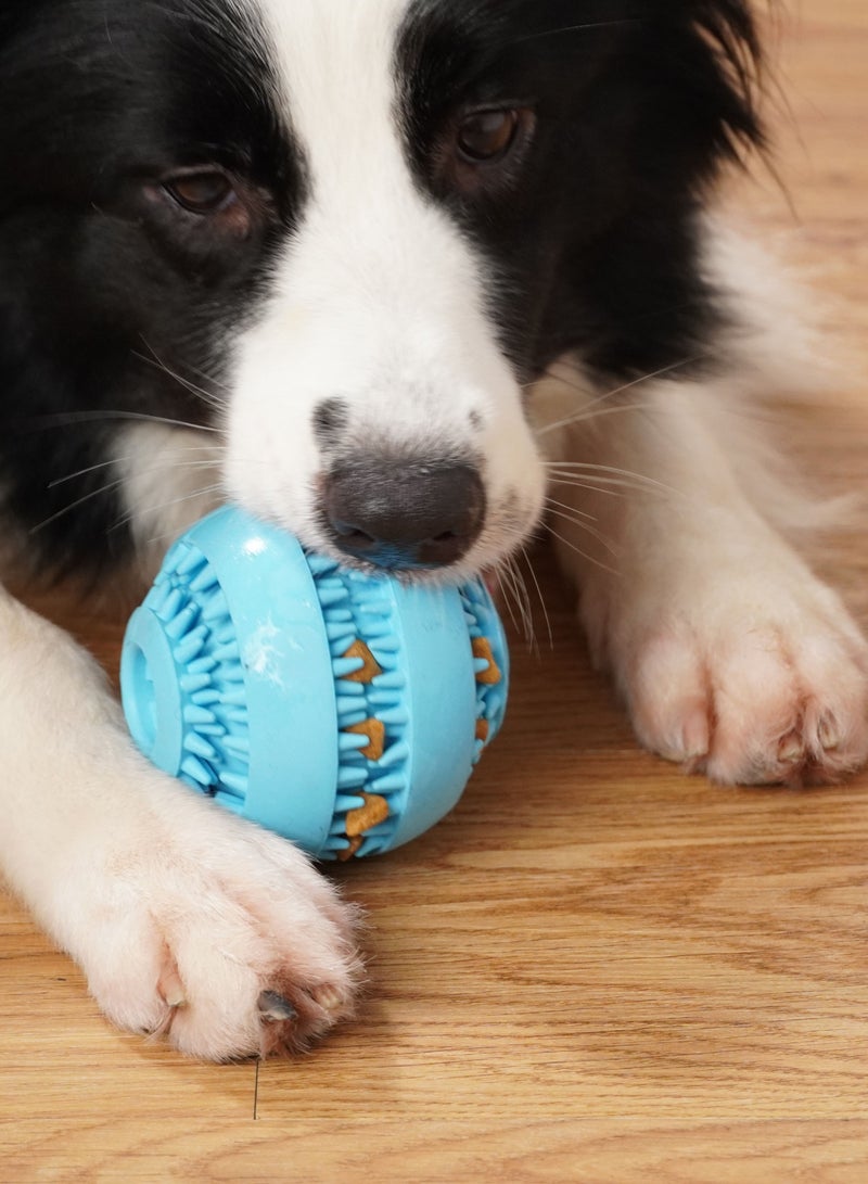 GULFLINK Non Toxic Natural Rubber Toy For Dogs Blue - Image 4