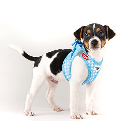 Curli Vest Harness curli Clasp AirMesh SkyBlueCircles 3XS Leash M - Image 3