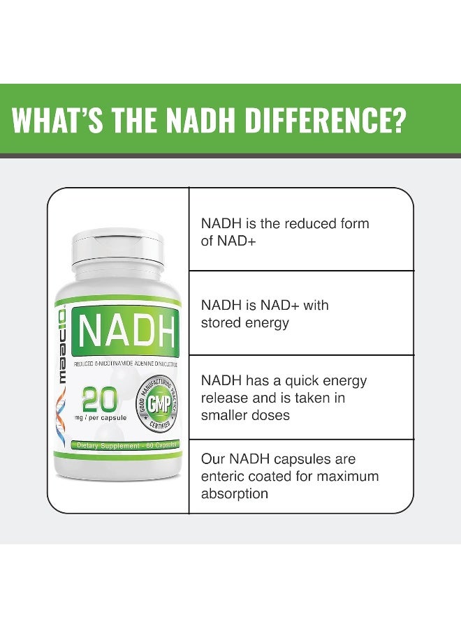 MAAC10 Formulas NADH 20mg Each 60 Capsules for Energy, Fatigue, Mental Focus, Immune & NAD+ Longevity Support - Image 5