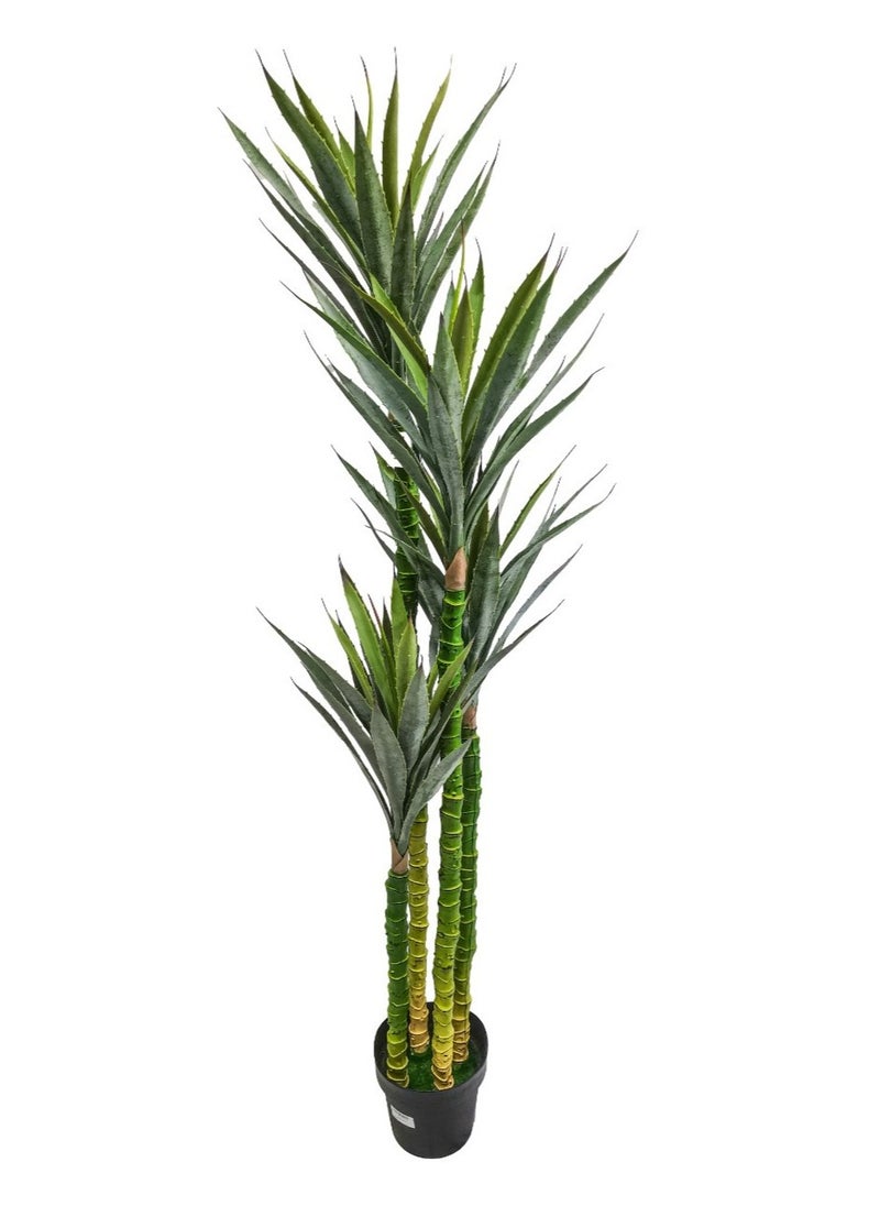 Generic 170 cm Artificial Cactus Tree - 4 Branches with Realistic Pointed Leaves  - Image 1