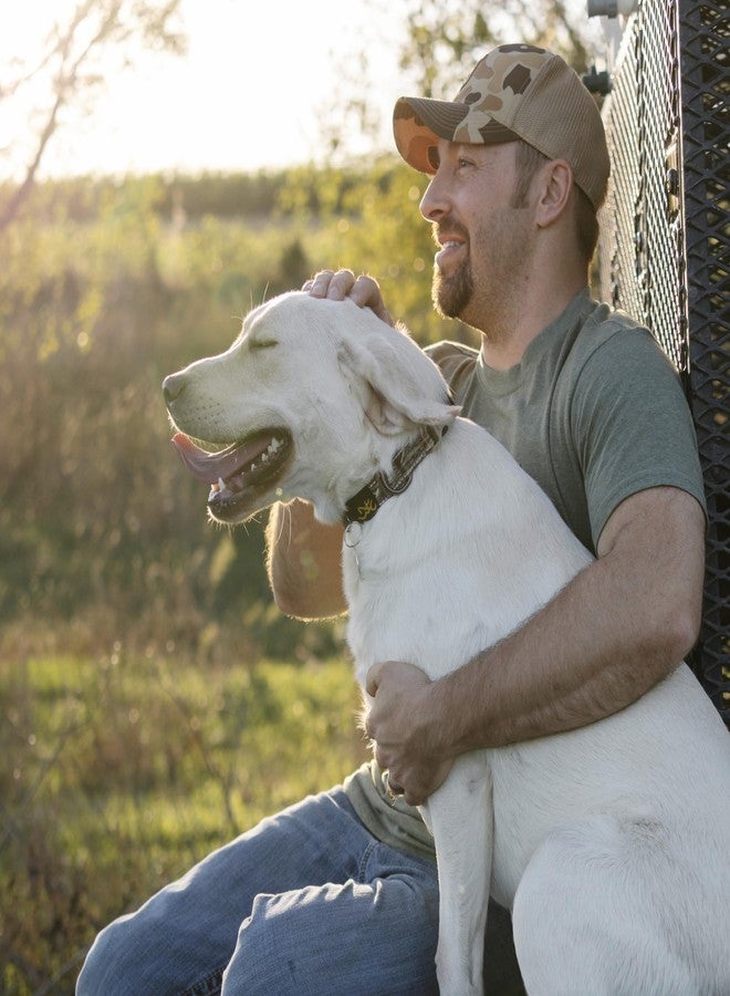 Browning Classic Preformance Webbing Pet Collar, Fully Adjustable, Available in Solid Colors and Camo Patterns, Realtree MAX-7, Small - Image 5