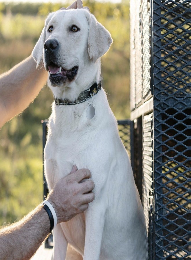 Browning Classic Preformance Webbing Pet Collar, Fully Adjustable, Available in Solid Colors and Camo Patterns, Realtree MAX-7, Small - Image 4