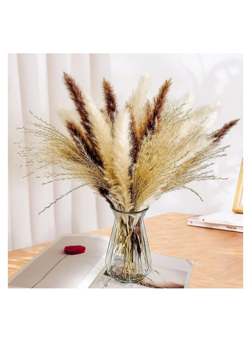 60 Pcs Natural Dried Pampas Grass for Flower Arrangements Home Decor - Image 2