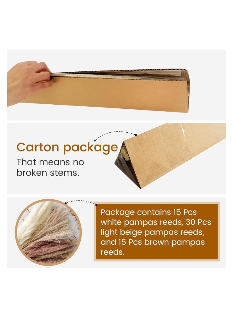 60 Pcs Natural Dried Pampas Grass for Flower Arrangements Home Decor - Image 3