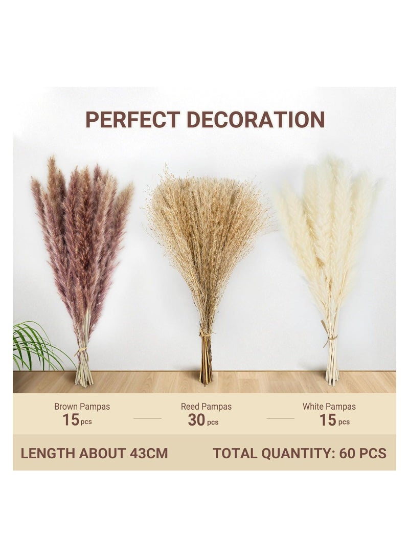 60 Pcs Natural Dried Pampas Grass for Flower Arrangements Home Decor - Image 4