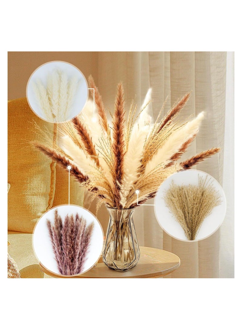 60 Pcs Natural Dried Pampas Grass for Flower Arrangements Home Decor - Image 5