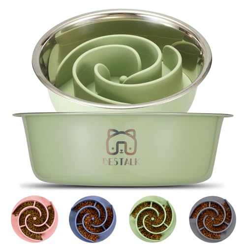 Bestalk 2in1 Metal Slow Feeder Dog Bowl Bestalk Stainless Steel Dog Bowls with Silicone Slow Feeder Insert Food Grade 304 Water Food Bowl with AntiSlip Base for Small Medium Large Dogs - Image 1