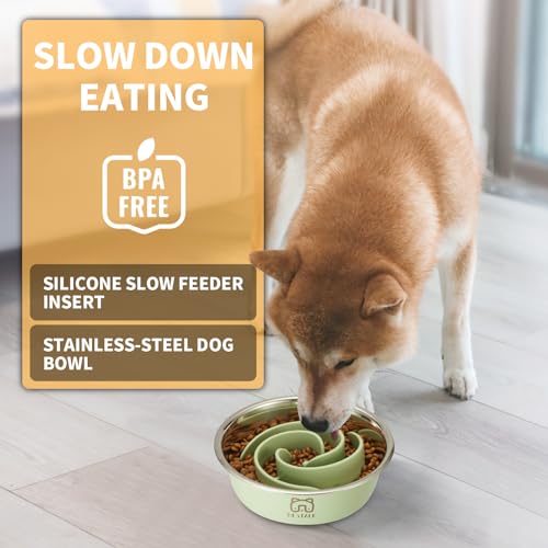 Bestalk 2in1 Metal Slow Feeder Dog Bowl Bestalk Stainless Steel Dog Bowls with Silicone Slow Feeder Insert Food Grade 304 Water Food Bowl with AntiSlip Base for Small Medium Large Dogs - Image 3