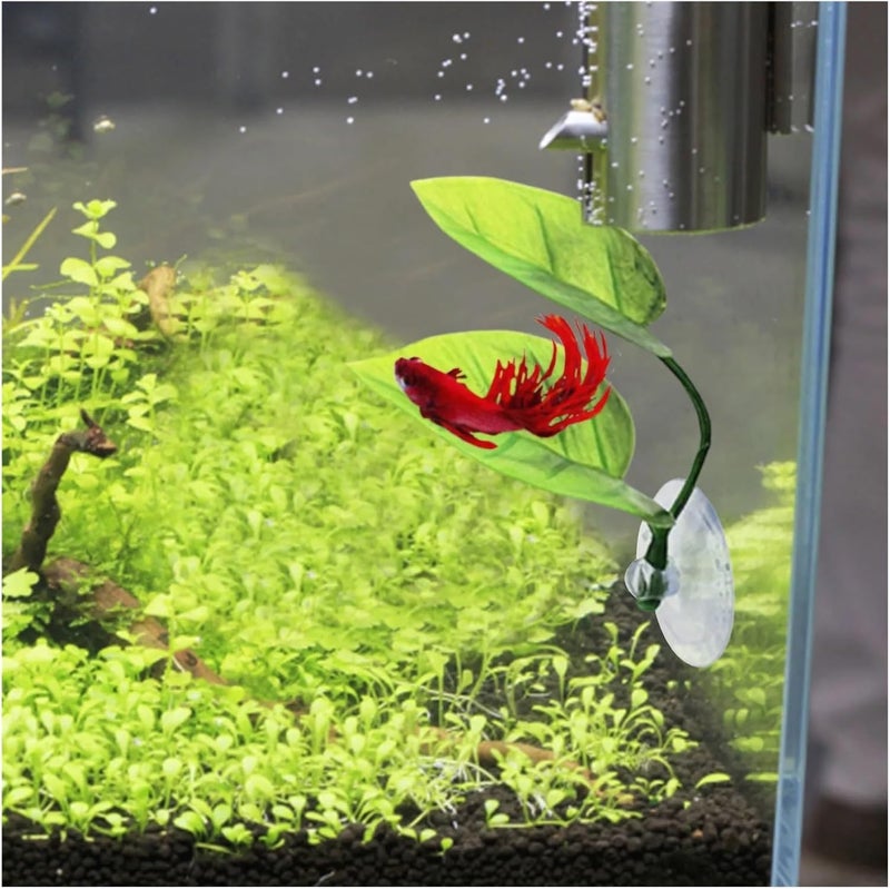8 Pcs Aquarium Accessories Fish Tank Betta Leaf Bed Rest Spawning Aquatic Artificial Plant Hammock Simulation Landscape - Image 4