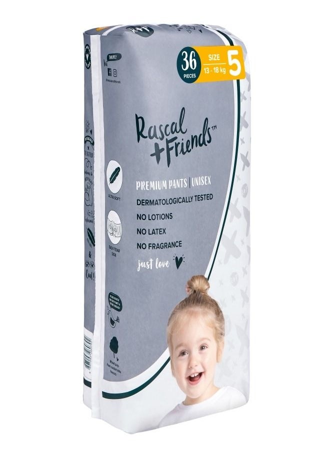Rascal + Friends - Child Diapers Pull Up Pants Size5,13-18Kg - Image 1
