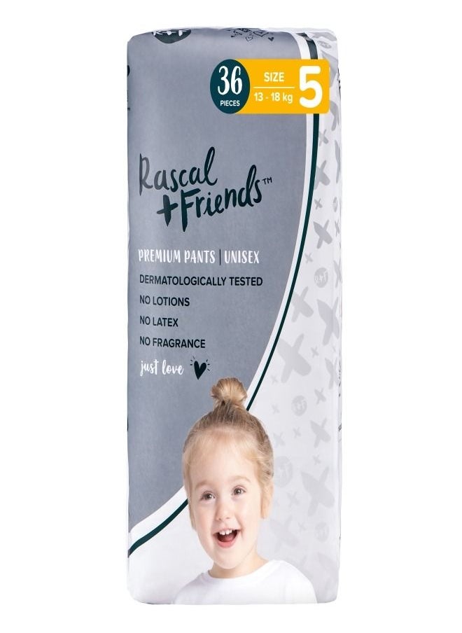 Rascal + Friends - Child Diapers Pull Up Pants Size5,13-18Kg - Image 1