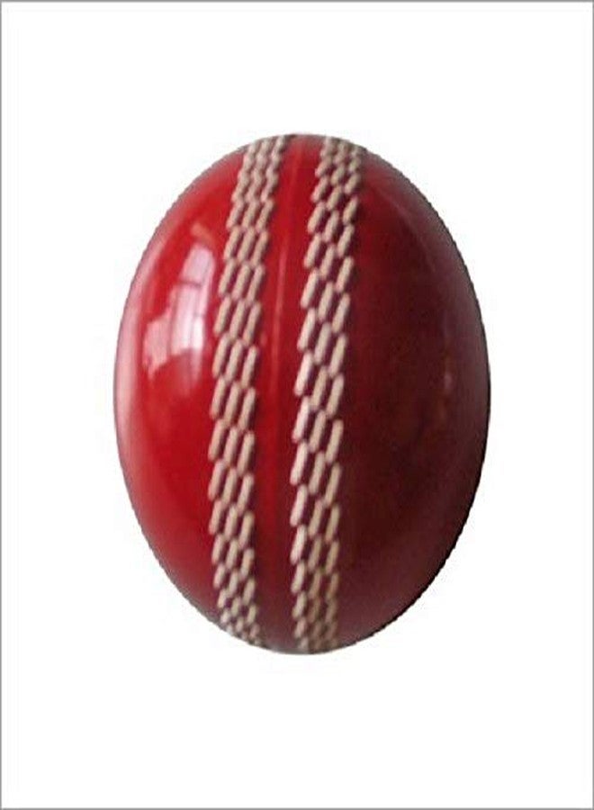 venus gems red PVC Cricket Rubber pratice Ball (Pack of 1, Red) - Image 2