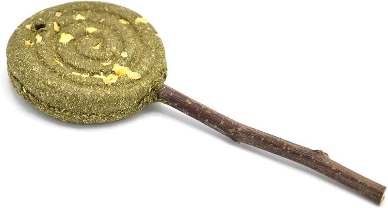 Oxbow Animal Health Bundle of 2 Enriched Life Timothy =Lollipop Small Animal Chew Treats: Apple and Carrot - Image 4