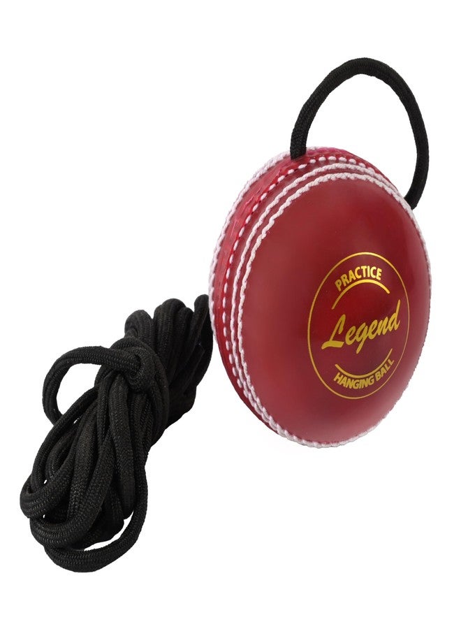 SS Hanging Ball for Bat Knocking and Practice with Reaction String (Embossed Seam) - Image 1