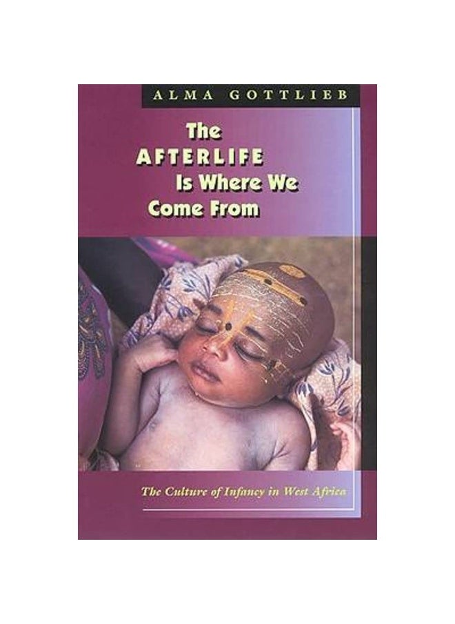 The Afterlife Is Where We Come From 