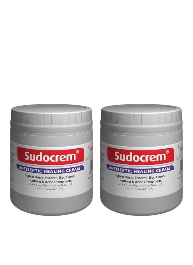 Sudocrem Sudocrem Antiseptic Healing Cream 250 Gm (Pack of 2)  - Image 1