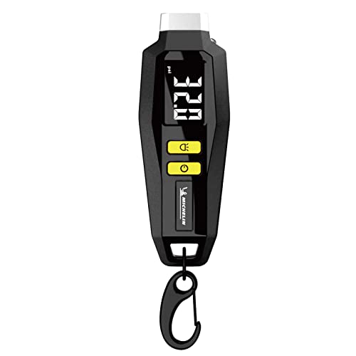 MICHELIN 12290 Digital Tyre Pressure gauge with Key Ring & LED Flash Light - Image 1