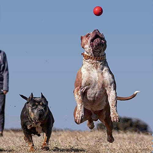 Bully Max Indestructible Dog Ball Toy for Aggressive Chewers - Dog Chew Toy for Puppy, Adult, Small, Medium & Large Dogs - Durable Balls for Dogs to Fetch for Indoor & Outdoor - Guaranteed to Last - Image 4