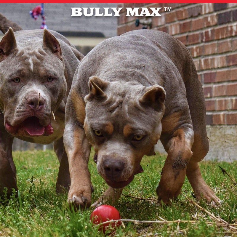 Bully Max Indestructible Dog Ball Toy for Aggressive Chewers - Dog Chew Toy for Puppy, Adult, Small, Medium & Large Dogs - Durable Balls for Dogs to Fetch for Indoor & Outdoor - Guaranteed to Last - Image 3