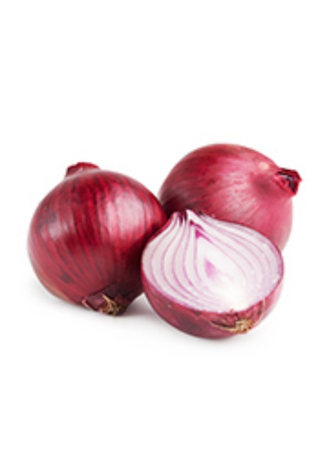 Red Onions  500g per pack