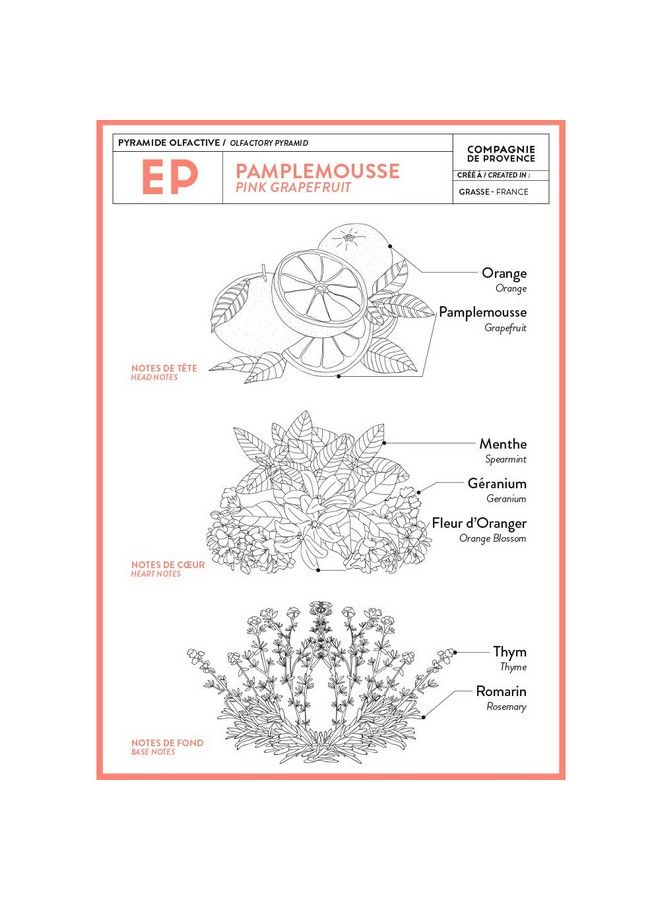 La Compagnie de Provence Compagnie De Provence Savon De Marseille Extra Pure Liquid Soap Pink Grapefruit 16.7 Fl Oz Glass Pump Bottle - Image 3