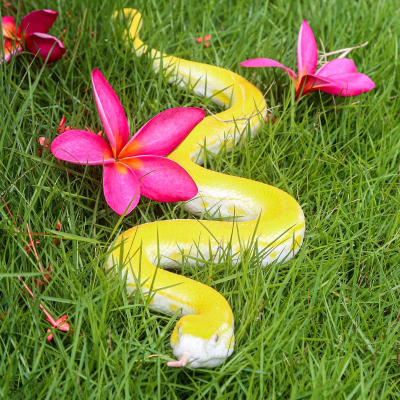 SIENON Realistic Fake Snakes Toy Soft Rubber Snake Figure Garden Snake Scare Birds and Squirrels, Python Action Model Snake Toy Figurines Stress Relief Toys Halloween Prank Props (Python) - Image 4