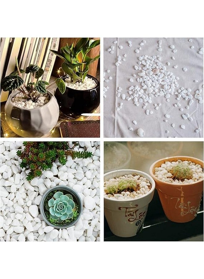 بريمسونس أحجار الحصى المصقولة المزخرفة - 1 كجم | أحجار لامعة مزخرفة للمنزل والمزهريات وأحواض السمك والحدائق | 2.5 سم - 4 سم خشنة (أبيض، متوسط) - Image 3