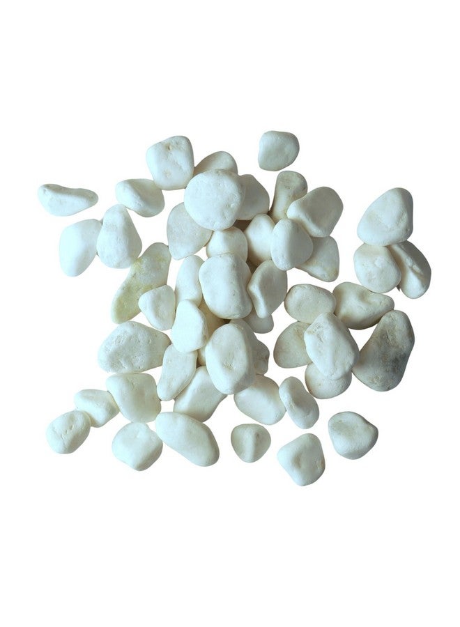 بريمسونس أحجار الحصى المصقولة المزخرفة - 1 كجم | أحجار لامعة مزخرفة للمنزل والمزهريات وأحواض السمك والحدائق | 2.5 سم - 4 سم خشنة (أبيض، متوسط) - Image 1