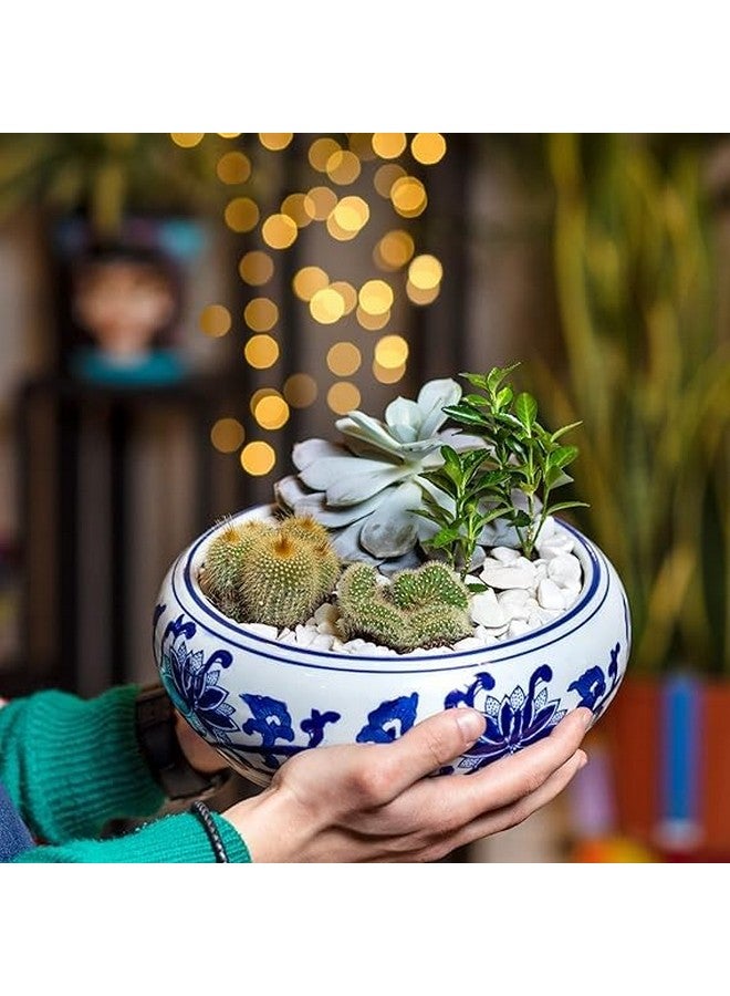 بريمسونس أحجار الحصى المصقولة المزخرفة - 1 كجم | أحجار لامعة مزخرفة للمنزل والمزهريات وأحواض السمك والحدائق | 2.5 سم - 4 سم خشنة (أبيض، متوسط) - Image 4