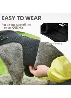 PUPTECK Soft Mesh Cat Vest Harness And Leash Set Puppy Padded Pet Harnesses Escape Proof For Cats Small Dogs Rabbits Bunny, Black Large  - Image 5