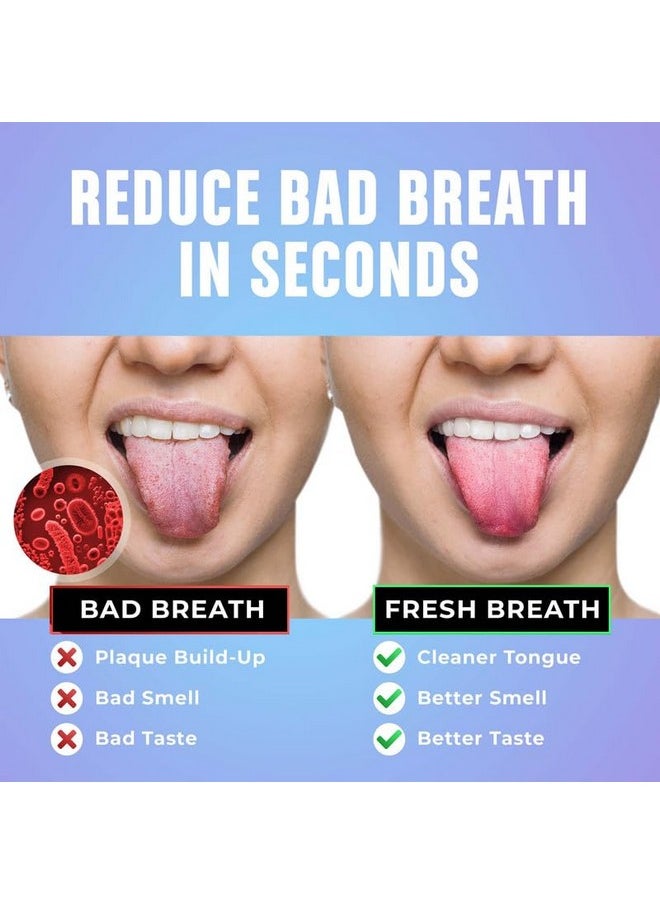 BASIC CONCEPTS BASIC CONCEPTS Tongue Scraper for Adults (Variety Pack), Reduce Bad Breath, Metal Tongue Scraper, Tongue Cleaner, Tongue Scraper, Stainless Steel Tongue Scraper, Tongue Cleaner for Adults  - Image 2