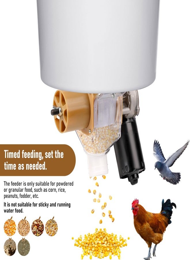 PKNYBZH Timed Automatic Chicken Feeder and Duck Feeder, Timed Poultry Feederer Great for Chickens, Ducks, Geese, Pigeons, Dogs, Fish, Cats - Image 2