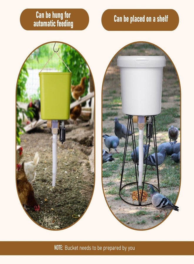 PKNYBZH Timed Automatic Chicken Feeder and Duck Feeder, Timed Poultry Feederer Great for Chickens, Ducks, Geese, Pigeons, Dogs, Fish, Cats - Image 5