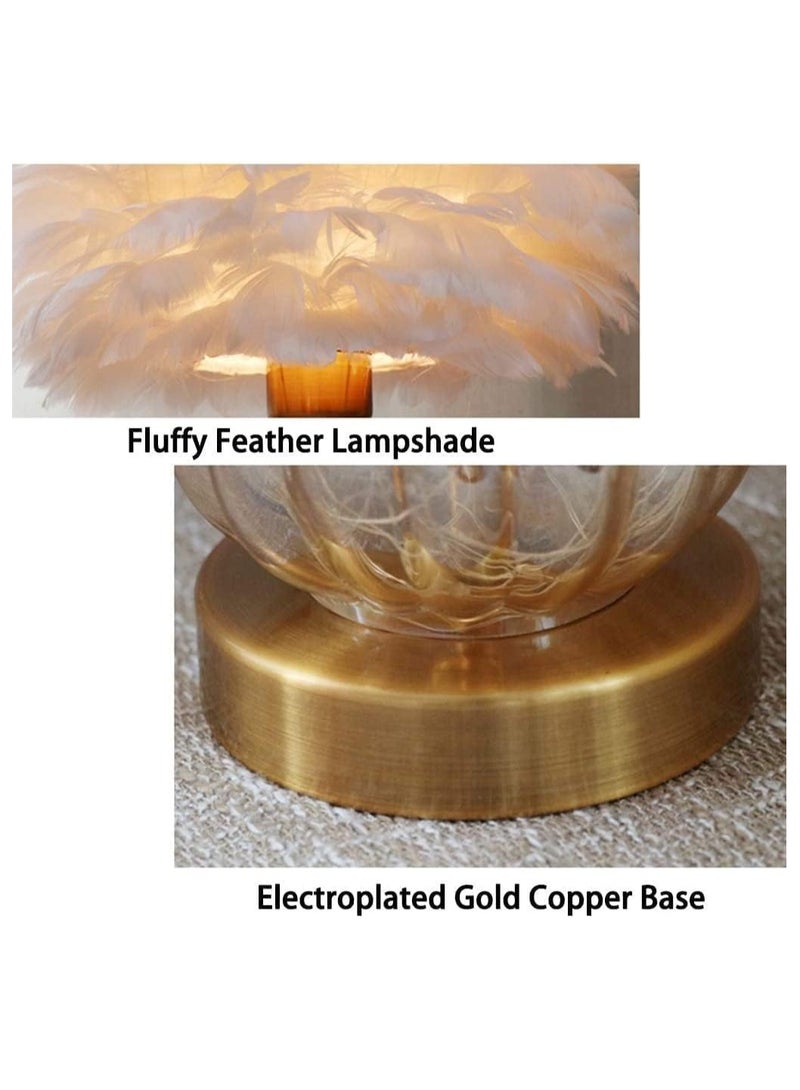 HOME TASTE مصباح طاولة ريشة مصباح طاولة ريشة ضوء طاولة مصباح طاولة ضوء مكتب مصباح طاولة ريشة قابل للتعتيم مصباح طاولة ليلي مصباح طاولة بجانب السرير مصباح مكتب بجانب الأريكة طاولة (بيضاء) - Image 5